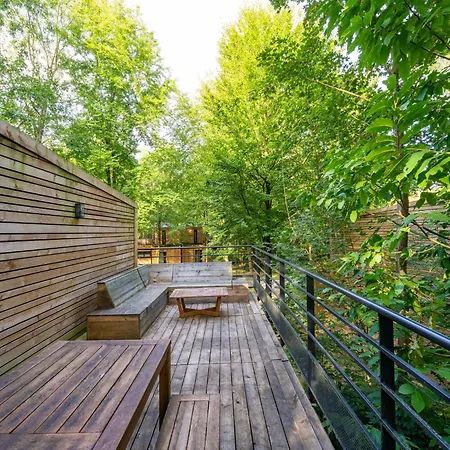 Peaceful Forest Escape * Antoing