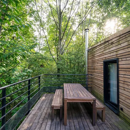 Peaceful Forest Escape