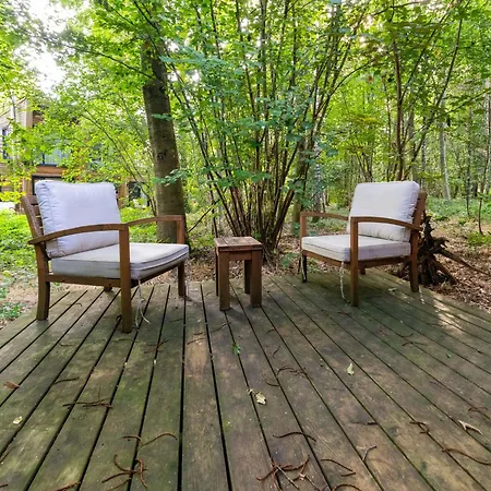 Peaceful Forest Escape *