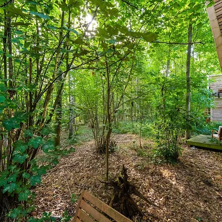 Peaceful Forest Escape 펜션