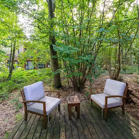 Peaceful Forest Escape Antoing